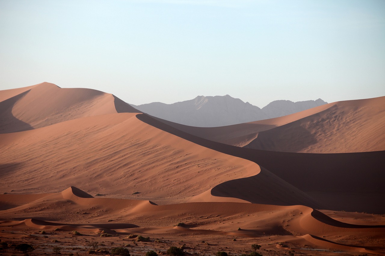 MISTICA E MISTICI: I PADRI E LE MADRI DEL DESERTO