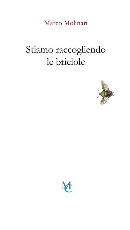 Marco Molinari, STIAMO RACCOGLIENDO LE BRICIOLE
